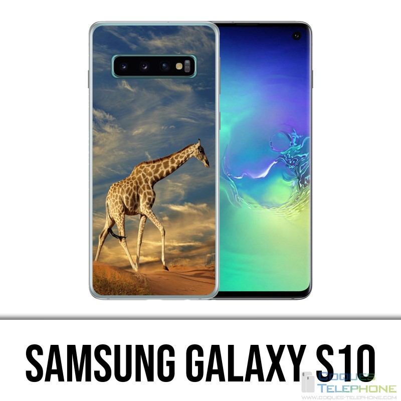 Coque Samsung Galaxy S10 - Girafe Fourrure