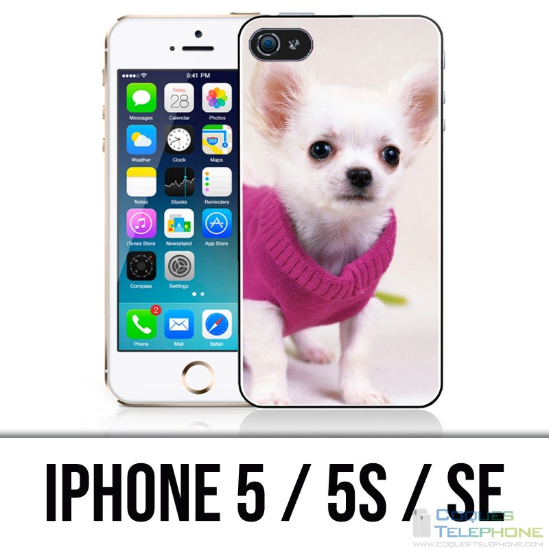 Coque iPhone 5 / 5S / SE - Chien Chihuahua