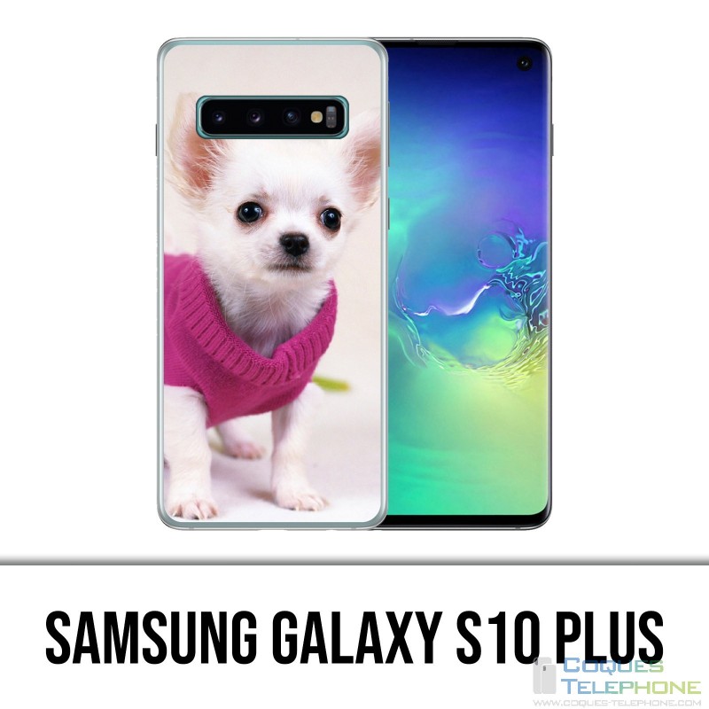 Carcasa Samsung Galaxy S10 Plus - Perro Chihuahua