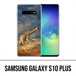 Coque Samsung Galaxy S10 PLUS - Girafe Fourrure