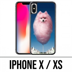 Coque iPhone X / XS - Barbachien