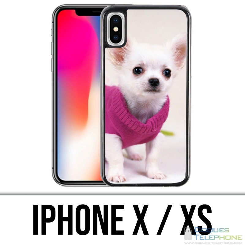 Coque iPhone X / XS - Chien Chihuahua