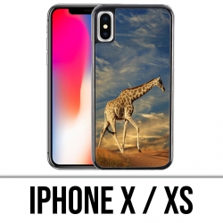 Coque iPhone X / XS - Girafe Fourrure