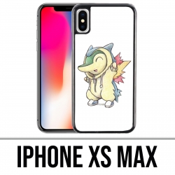 Coque iPhone XS MAX - Pokémon bébé héricendre