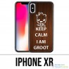 XR iPhone Fall - behalten Sie ruhigen Groot