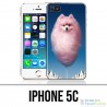 IPhone 5C Fall - Barbachian