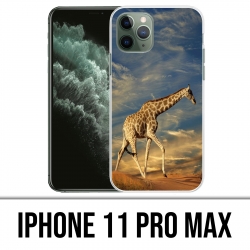 Coque iPhone 11 PRO MAX - Girafe Fourrure