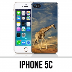 Coque iPhone 5C - Girafe Fourrure