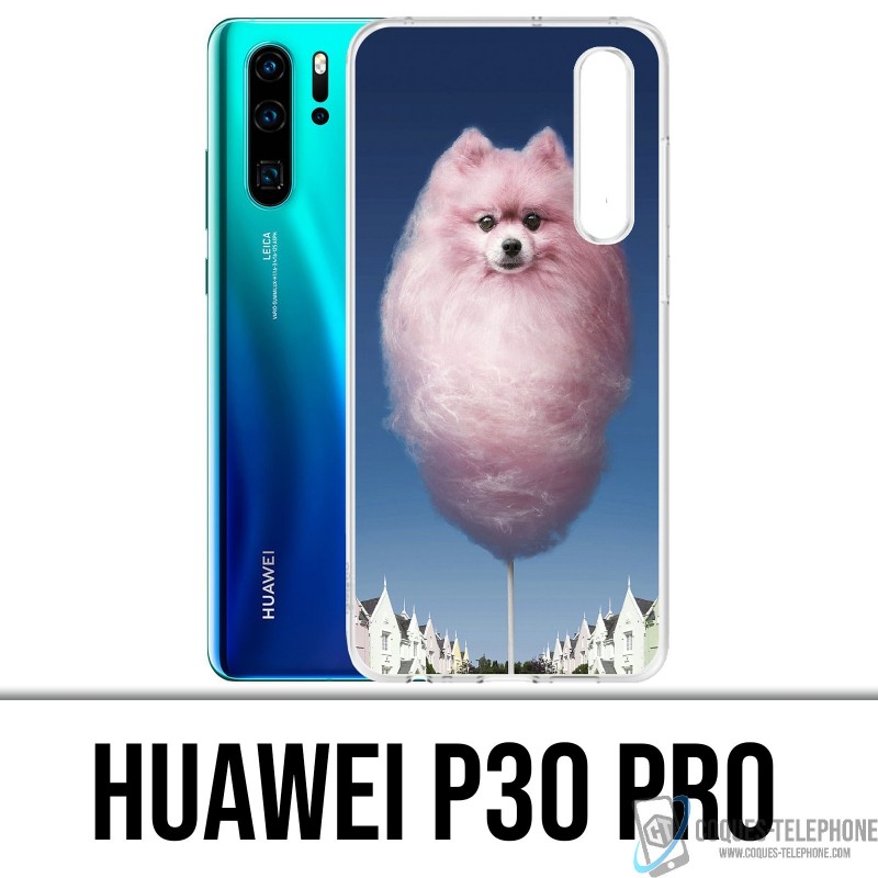Custodia Huawei P30 PRO - Barbachien