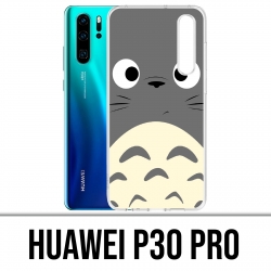 Case Huawei P30 PRO - Totoro