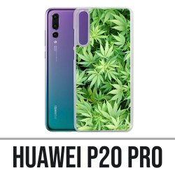 Coque Huawei P20 Pro - Cannabis
