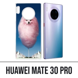 Coque Huawei Mate 30 Pro - Barbachien