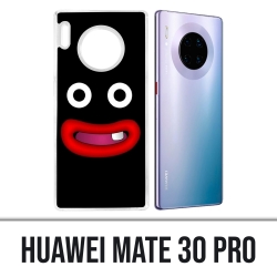 Huawei Mate 30 Pro case - Dragon Ball Mr Popo