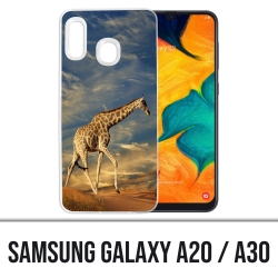 Samsung Galaxy A20 / A30 cover - Giraffe