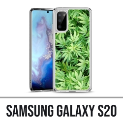 Funda Samsung Galaxy S20 - Cannabis