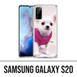 Coque Samsung Galaxy S20 - Chien Chihuahua