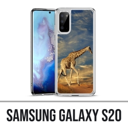 Coque Samsung Galaxy S20 - Girafe