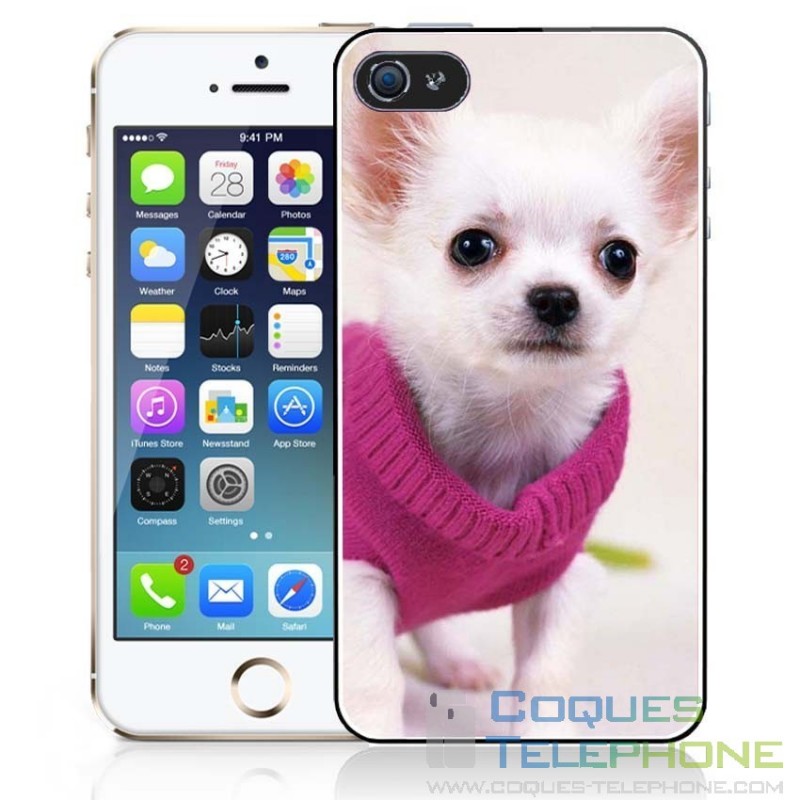 Telefonkasten Chihuahua