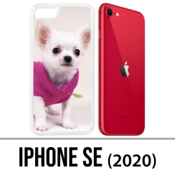 Coque iPhone SE 2020 - Chien Chihuahua