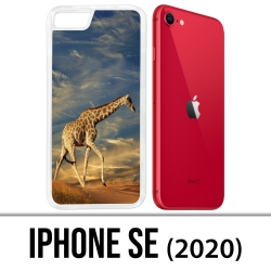 Coque iPhone SE 2020 - Girafe
