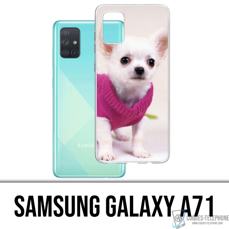 Custodia per Samsung Galaxy A71 - Cane Chihuahua