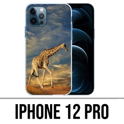 Coque iPhone 12 Pro - Girafe