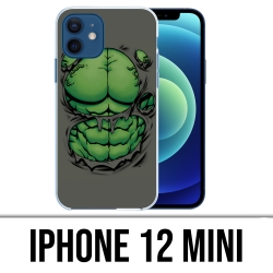 IPhone 12 mini Case - Hulk torso