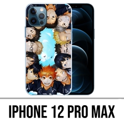Coque iPhone 12 Pro Max - Haikyuu-Team