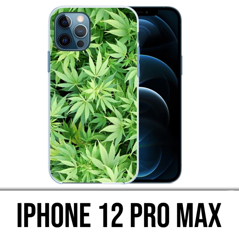 Custodia per iPhone 12 Pro Max - Cannabis