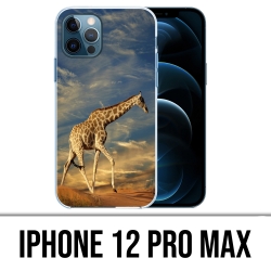 Coque iPhone 12 Pro Max - Girafe