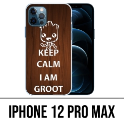 Custodia per iPhone 12 Pro Max - Keep Calm Groot