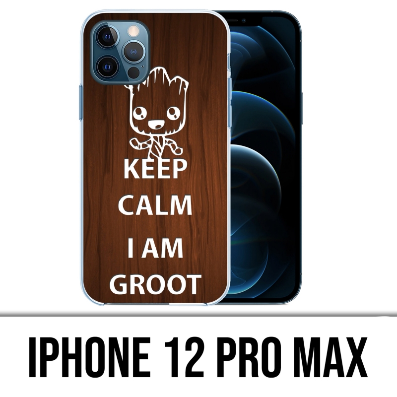 Funda para iPhone 12 Pro Max - Keep Calm Groot