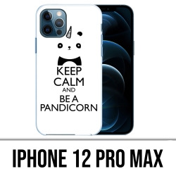 IPhone 12 Pro Max Case -...