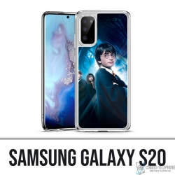 Coque Samsung Galaxy S20 - Petit Harry Potter