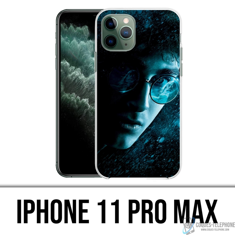 Coque iPhone 11 Pro Max - Harry Potter Lunettes