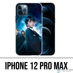 Coque iPhone 12 Pro Max - Petit Harry Potter