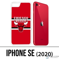 Custodia per iPhone SE 2020 - Chicago Bulls