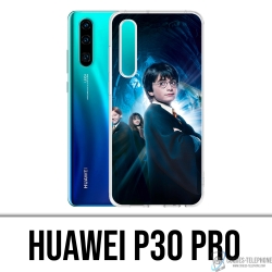 Huawei P30 Pro Case - Little Harry Potter