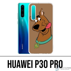Huawei P30 Pro case -...