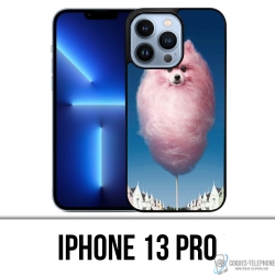 Coque iPhone 13 Pro - Barbachien