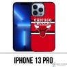 IPhone 13 Pro Case - Chicago Bulls