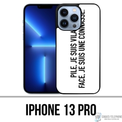 Coque iPhone 13 Pro - Pile...