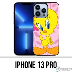 Coque iPhone 13 Pro - Titi...