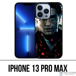 Harry Potter Fire iPhone 13 Pro Max case