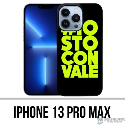 Cover iPhone 13 Pro Max -...